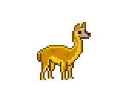 A young guanaco with golden fur