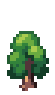 Beech Tree Stage 1.png