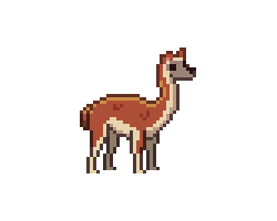 A young guanaco with orange and cream fur