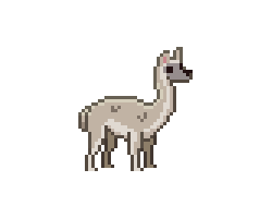 A young guanaco with light grayish fur