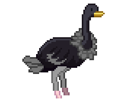Ebony Ostrich.png