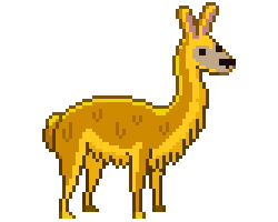 A guanaco with golden fur