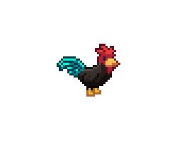 A junglefowl rooster with black feathers and teal tail