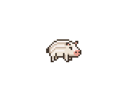 White Wild Boar Baby.png