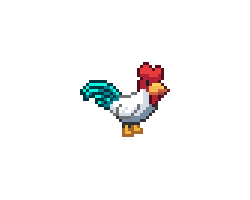 A junglefowl rooster with white feathers and teal tail