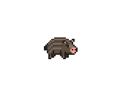 Chocolate Wild Boar Baby.png