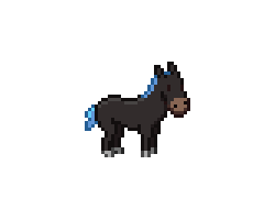 A young steppe horse with a black body and blue mane