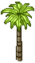 Coconut Tree Stage 2.png