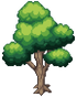 Alma Tree Stage 3.png