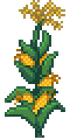 Corn Stage 4.png
