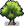 Olive Tree.png