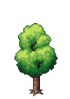 Beech Tree Stage 3.png