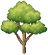 Almond Tree Stage 3.png