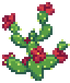 Wild Prickly Pear Stage 3.png