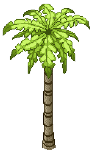Coconut Tree S.png