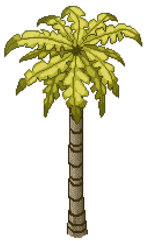 Coconut Tree F.png