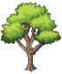 Olive Tree Stage 3.png