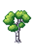 Birch Tree Stage 2.png