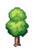 Beech Tree Stage 2.png