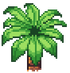 Date Palm Stage 2.png