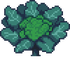 Broccoli Stage 4.png