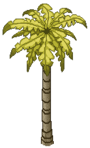Coconut Tree W.png