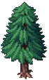 Pine Tree Stage 3.png